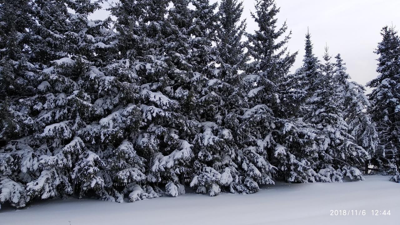 Второй после Лос-Анжелеса - ХранителиРодины.рф